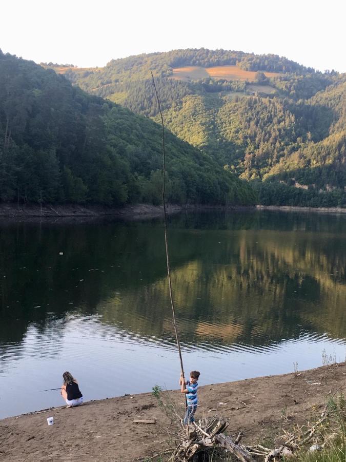 Cabana Baraj Apuseni Mountains Mihoesti Exteriör bild