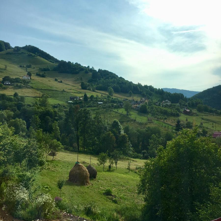 Cabana Baraj Apuseni Mountains Mihoesti Exteriör bild