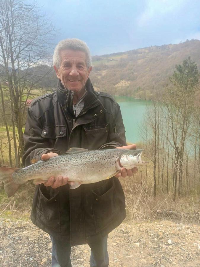 Cabana Baraj Apuseni Mountains Mihoesti Exteriör bild