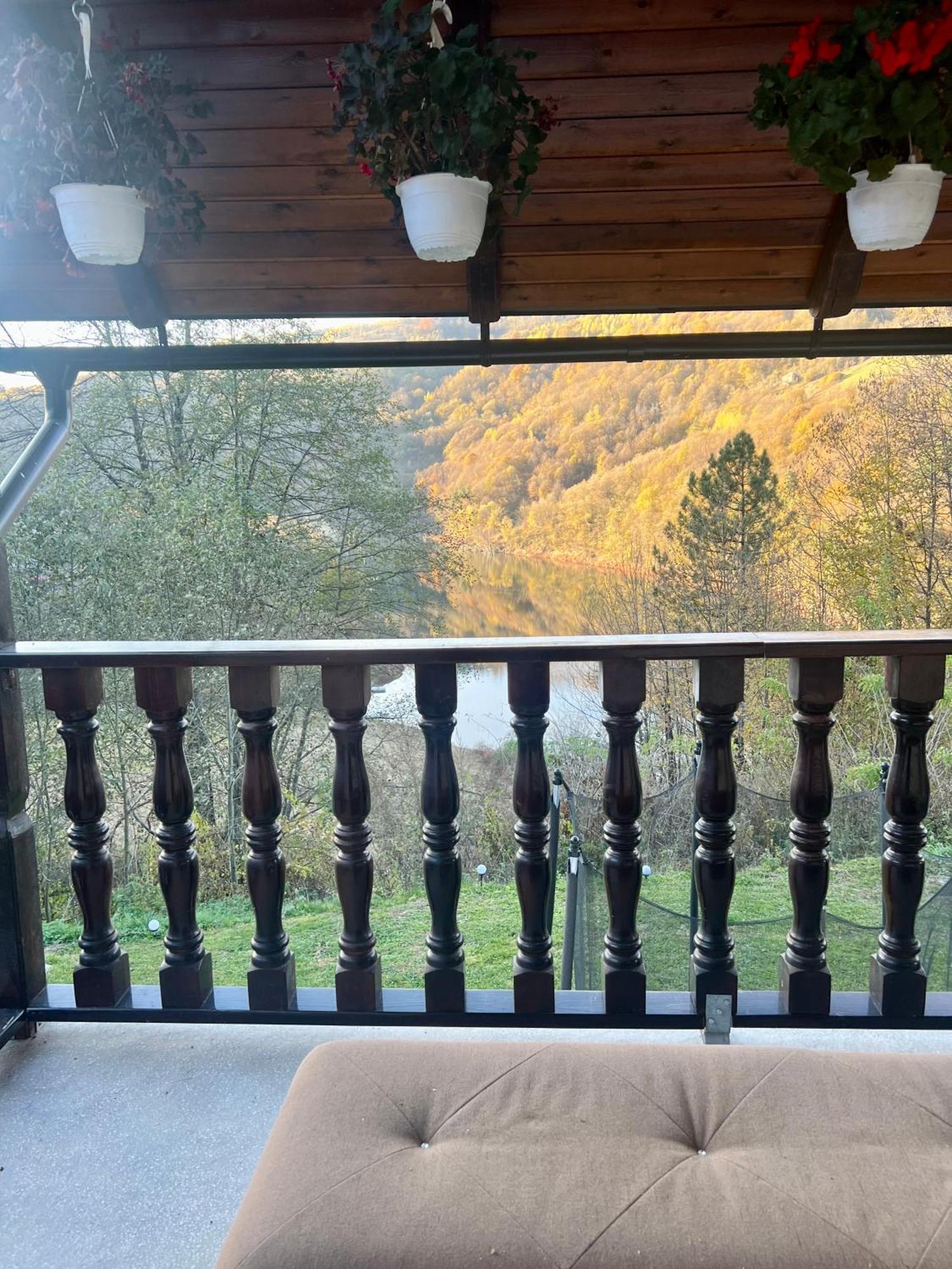 Cabana Baraj Apuseni Mountains Mihoesti Exteriör bild