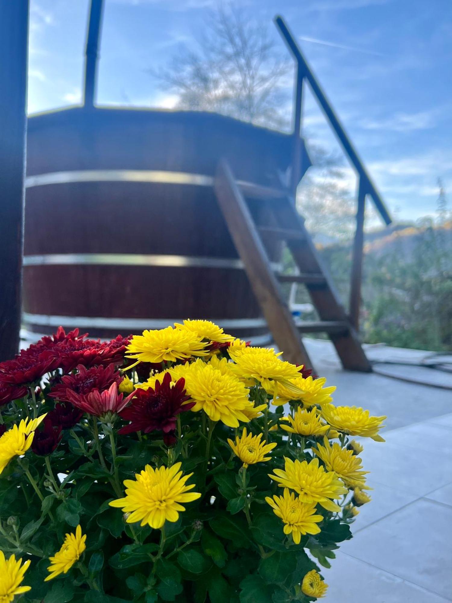 Cabana Baraj Apuseni Mountains Mihoesti Exteriör bild